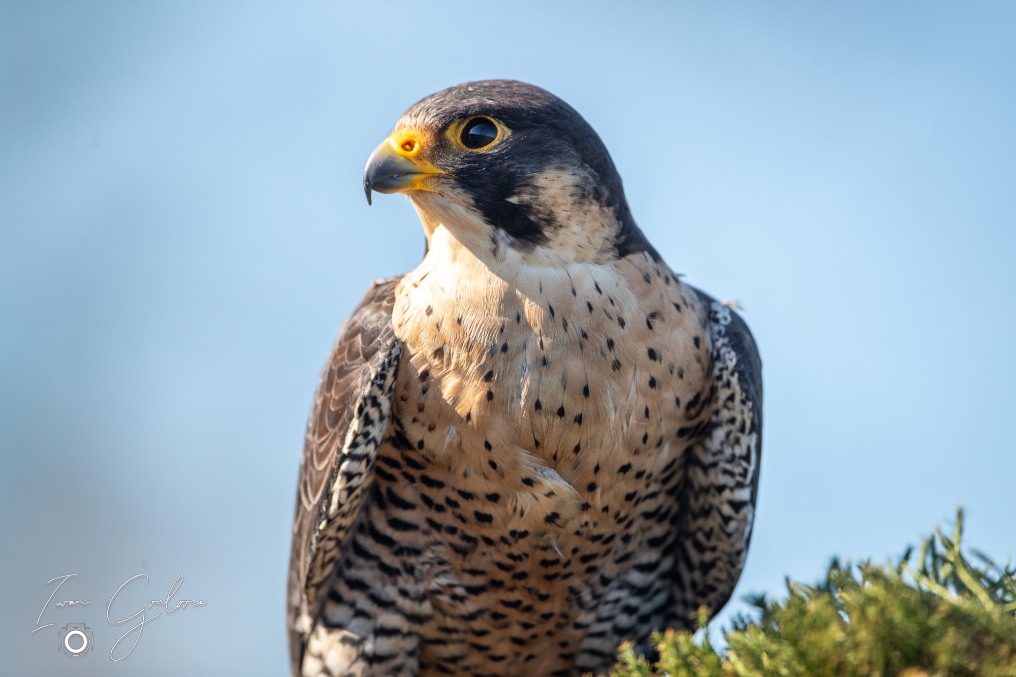 04 maart 2022 143618 1DX43553